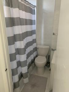 a bathroom with a toilet and a shower curtain at Cozy Cambridge Apt in Cambridge