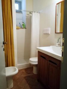 uma casa de banho com um WC, um lavatório e um chuveiro em Umbria Valnerina in Noble Residence near Spoleto Apartment x 4-6 persons em SantʼAnatolia di Narco