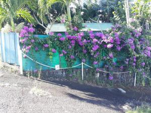 einen Zaun mit lila Blumen drauf in der Unterkunft STUDIO POINTE DU BOUT in Les Trois-Îlets