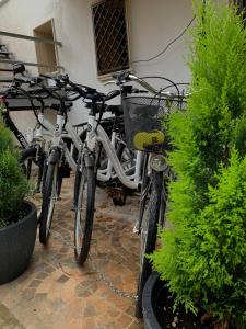 een groep fietsen geparkeerd voor een gebouw bij B&B l’antico rudere 2 in Cosenza