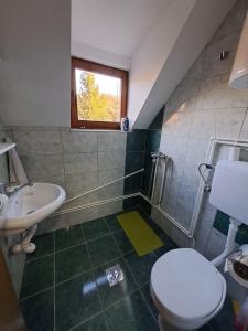 Ένα μπάνιο στο Apartmani LEON Brzeće/Apartmens LEON Brzece