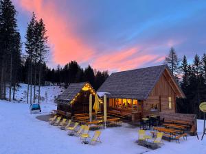 Alpenferienhaus Sophia during the winter