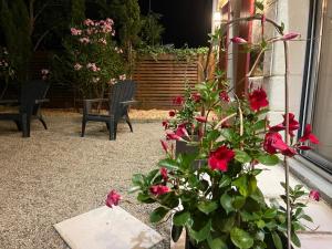 Ogród w obiekcie Le Chai de l'Océan -Maison plage à 300m - Jardin Terrasse