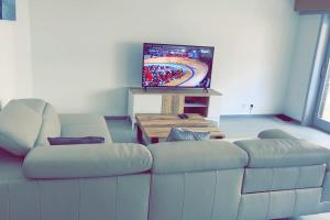 德帕内Appartement la panne Vue laterale sur mer的带沙发和电视的客厅