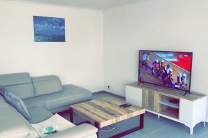 德帕内Appartement la panne Vue laterale sur mer的配有沙发和平板电视的客厅