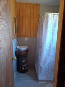 a bathroom with a sink and a shower curtain at Cabaña Los Chilcos in Curacautín