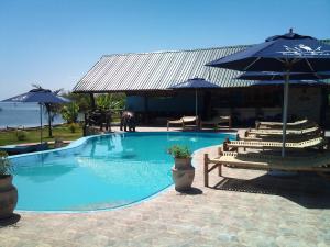 a swimming pool with chairs and umbrellas and a horse in it at Serenity on the Lake in Kalemera
