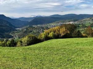 a green hillside with a view of a city at Appartamento Flora in Tesero