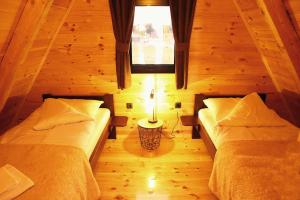 2 Betten in einem Holzzimmer mit Fenster in der Unterkunft WOLFOREST in Žabljak