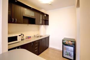 a kitchen with a sink and a microwave at Hotel Tecadra in Bucharest