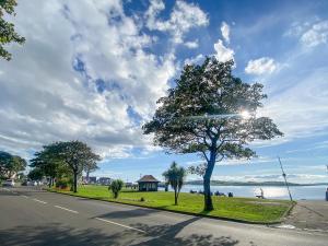 a tree on the side of a road near the water at Largs Brisbane Cottage in Largs