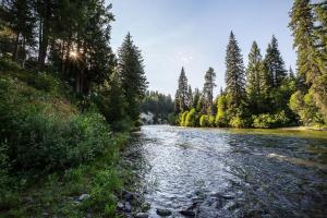 a river in the middle of a forest at Riffle River Lodge by NW Comfy Cabins in Leavenworth