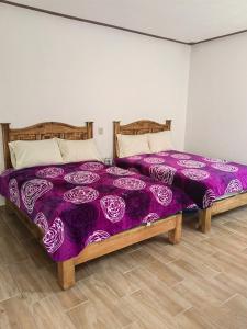 貝納爾的住宿－Posada villa aurora，紫色棉被客房内的两张床
