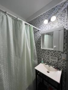 y baño con cortina de ducha y lavamanos. en Mágico Buenos Aires en Buenos Aires