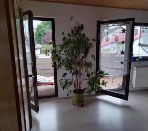 En have udenfor Ferienwohnung Krabbennest