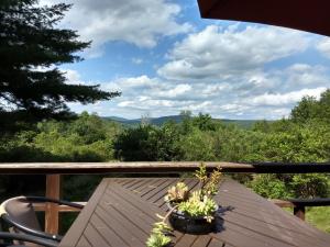 a wooden table with a potted plant on a balcony at Catskills tiny house cabin in Livingston Manor
