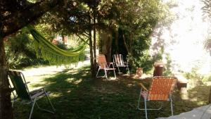 a group of chairs sitting under a tree at ALOJAMIENTO SERRANO BIS in Villa Giardino