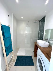 a bathroom with a sink and a washing machine at Reves Bleus in Le Gosier