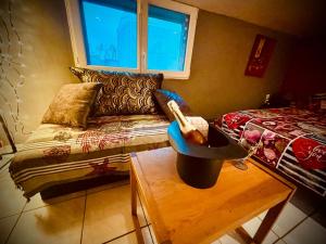 Posedenie v ubytovaní Résidence CAENEE, le dépaysement Naturiste en été avec l'atypique studio climatisé "vintage" en sous pente, sa "paillote" avec jacuzzi, entouré de verdure, planchagrill, transats, vélos gratuits, wifi 5G, Travel Proud LGBTQI, chiens admis