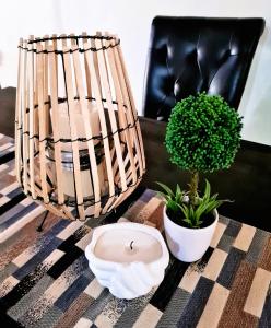einem Tisch mit einer Lampe und einer Topfpflanze darauf in der Unterkunft La Casa Greeff Guesthouse in Pretoria