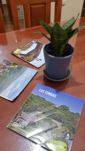 una planta en una olla en una mesa con revistas en Botanical house en San Miguel de Tucumán