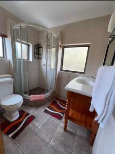 a bathroom with a shower and a toilet and a sink at La Casa Greeff Guesthouse in Pretoria