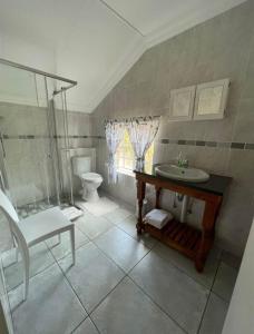 a bathroom with a shower and a sink and a toilet at La Casa Greeff Guesthouse in Pretoria