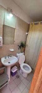 薩爾塔的住宿－Punto Salta Hostel，一间带卫生间和水槽的浴室
