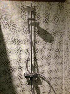 y baño con ducha y pared de azulejos. en Appartements d'hôtes Santa Giulia en Niort