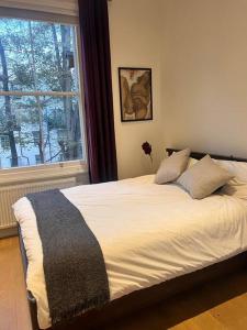 1 dormitorio con 1 cama grande y ventana en Lovely flat near Holland Park, en Londres