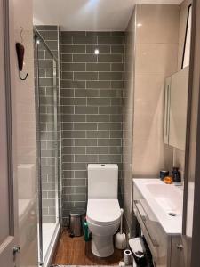 een badkamer met een toilet, een wastafel en een douche bij Lovely flat near Holland Park in Londen