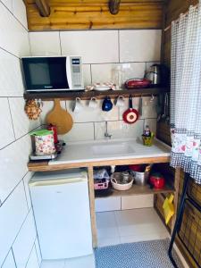 大普拉亞的住宿－Pousada Vó Ciloca，一间带水槽和微波炉的小厨房