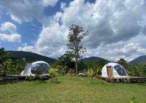 two domes in a field with mountains in the background at Cosy Garden Khao Sok in Khao Sok National Park