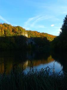 a view of a river with trees in the background at House Anamarija in Seliste Dreznicko
