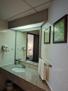 a bathroom with a sink and a large mirror at Paradise by the Sea in Penang by Veron at Rainbow Paradise in Tanjung Bungah