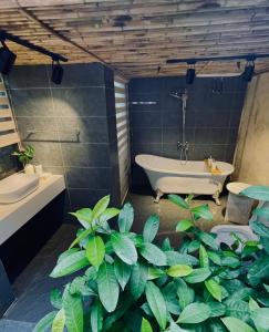 a bathroom with a bath tub and a plant at 6Nature Bavi Retreat in Hanoi