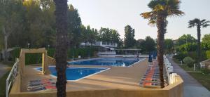 een zwembad met ligstoelen en palmbomen bij Villaggio Costa d'Argento in San Vito Chietino