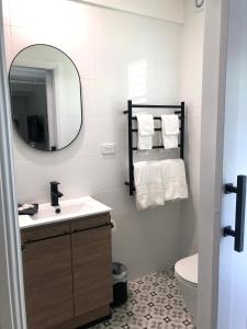 een badkamer met een wastafel, een spiegel en een toilet bij The Stables in Armidale