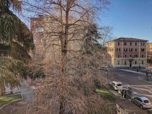 a tree with no leaves on it on a city street at Appartamento design dèco in Bologna