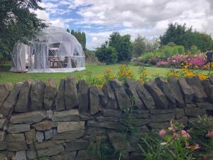 a greenhouse in a garden with a stone wall at Flowerhaven - glamping dome in Hamilton