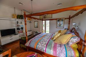 - une chambre avec un lit et une télévision dans l'établissement Galahad's Animal Sanctuary B&B, à Gisborne