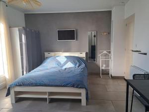 1 dormitorio con 1 cama y TV en la pared en Studio dans maison avec jardin et balcon, au calme, en Sérézin-du-Rhône