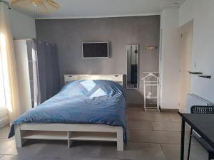 a bedroom with a bed and a tv on the wall at Studio dans maison avec jardin et balcon, au calme in Sérézin-du-Rhône