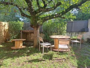 einen Tisch und Stühle unter einem Baum im Hof in der Unterkunft Studio dans maison avec jardin et balcon, au calme in Sérézin-du-Rhône