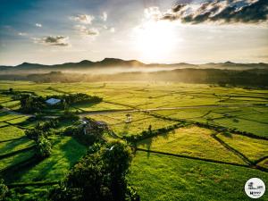 an aerial view of a field with the sun in the background at Na mong Homestay in Nan