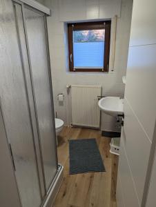 La salle de bains est pourvue d'une douche, de toilettes et d'un lavabo. dans l'établissement Dünengras, à Horumersiel