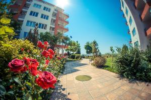 Сад в Riviera Fort Beach Apartments