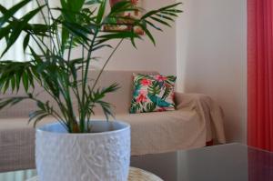 a plant in a white vase sitting on a table at Vasilopoulos Estate in Koroni