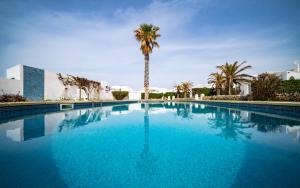 a large blue swimming pool with a palm tree at Seafront Modern Villa to Relax and Disconnect in Cala en Bosc