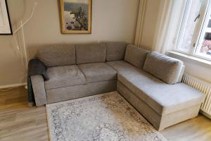 a brown couch in a living room with a rug at Mukava saunallinen kaksio omalla sisäänkäynnillä ja ilmaisella autopaikalla in Kuopio